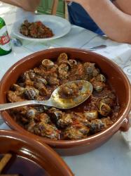 Escargots à la catalane